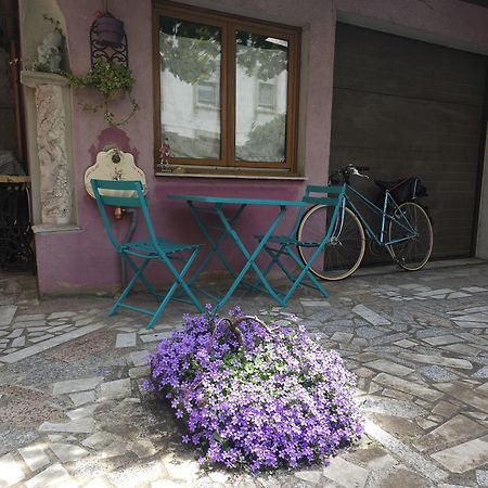 Petit Paradis Croneuva Strasburgo Esterno foto